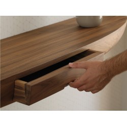 Consola Esdan