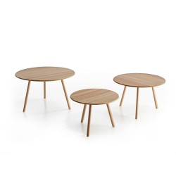 Mesa Rund