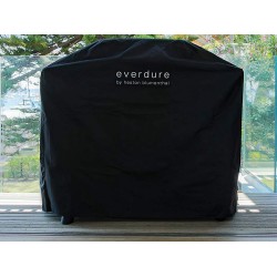 Capa para Everdure Force