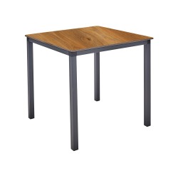 Mesa Monaco