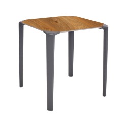 Mesa One