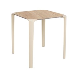 Mesa One