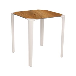 Mesa One