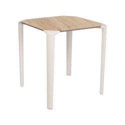 Mesa One