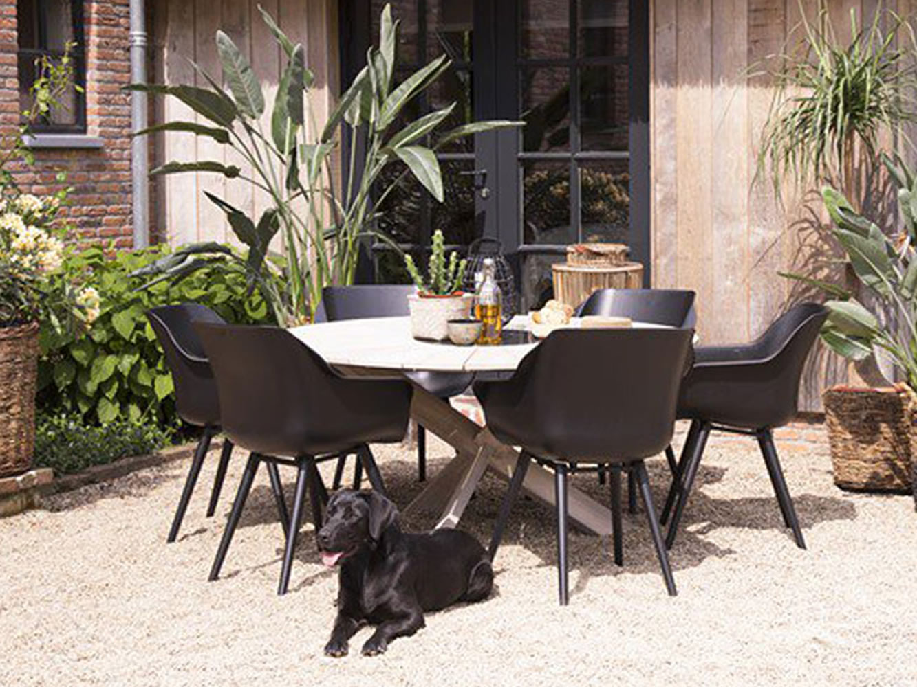 Cadeirão Sophie Studio Cadeirão Sophie Studio