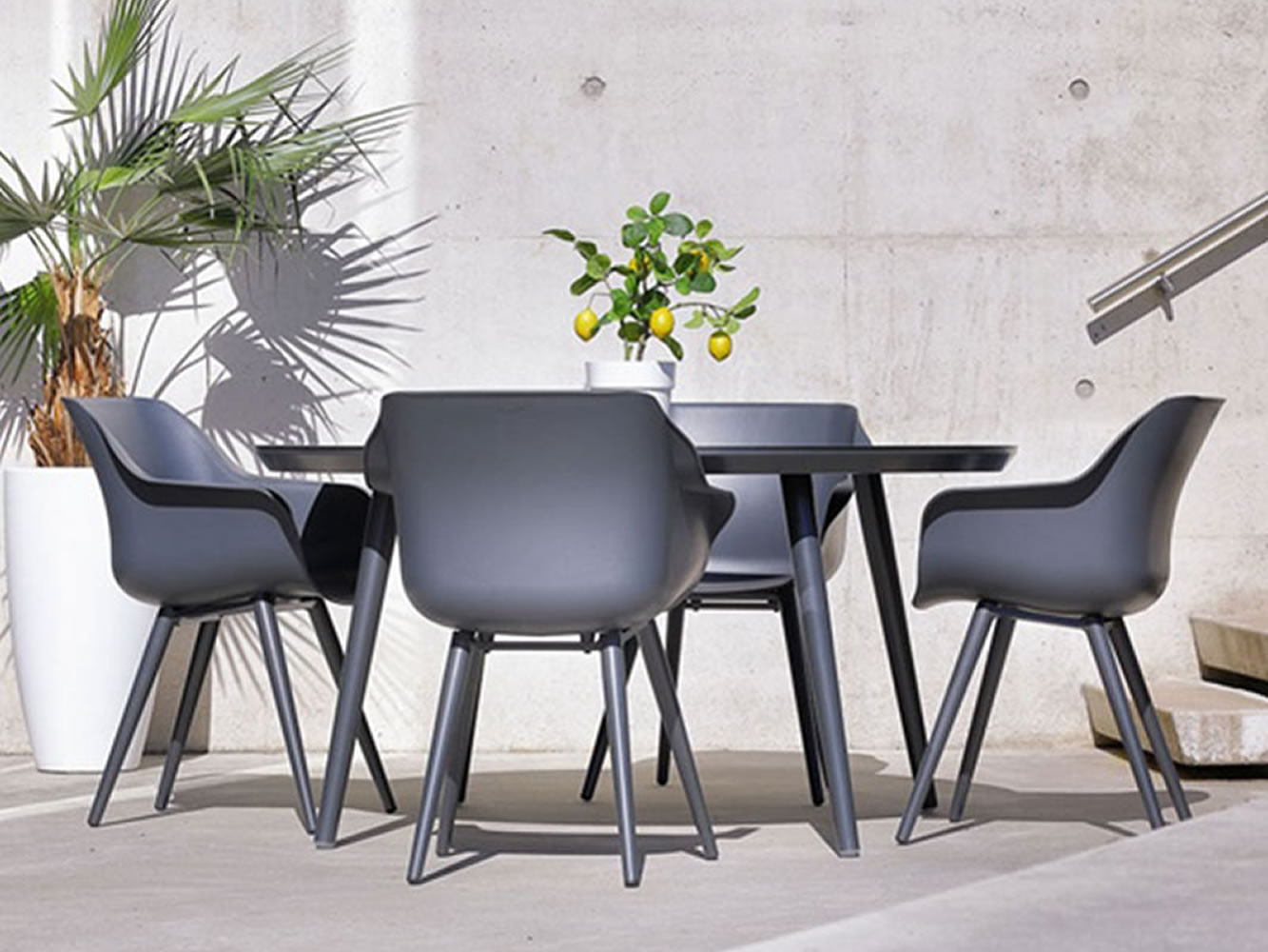 Cadeirão Sophie Studio Cadeirão Sophie Studio