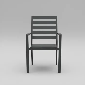 Silla Palma 3