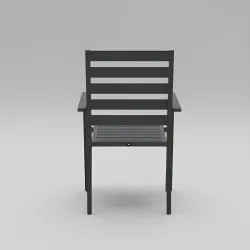 Silla Palma 3