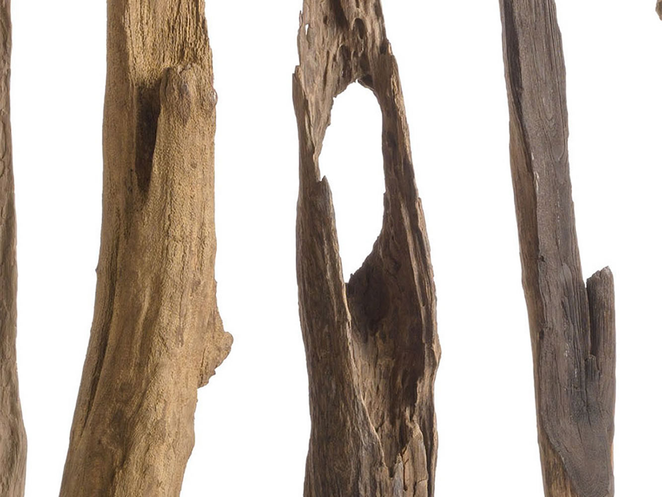 Parabán Stan Wood Parabán Stan Wood