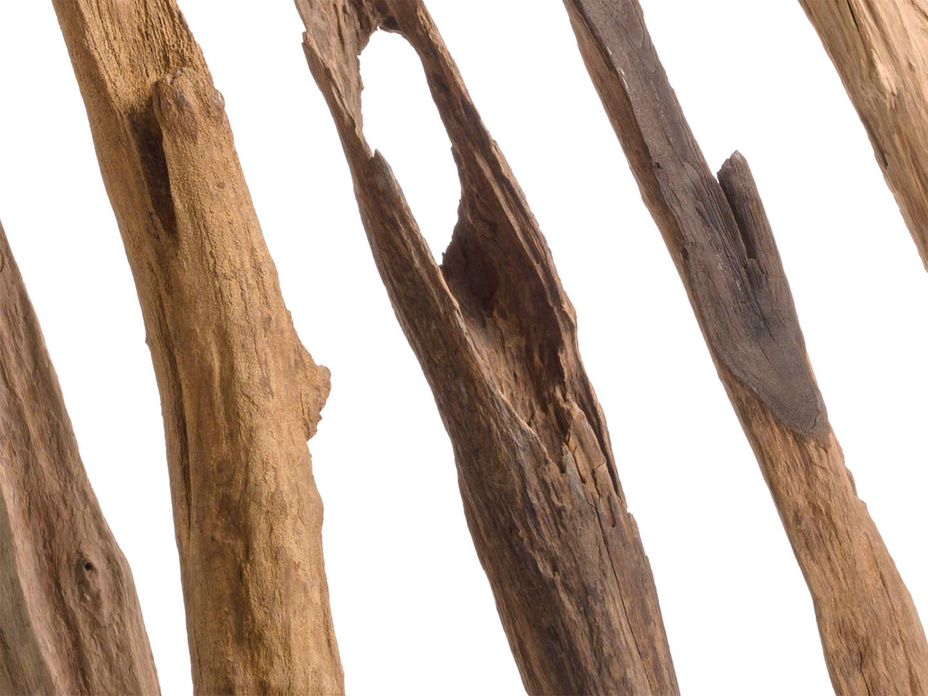 Parabán Stan Wood Parabán Stan Wood