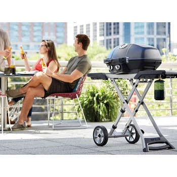 Napoleon Barbacoa de Gas TravelQ Pro285X Napoleon Barbacoa de Gas TravelQ Pro285X