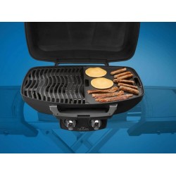 Napoleon Cast Iron Reversible Griddle