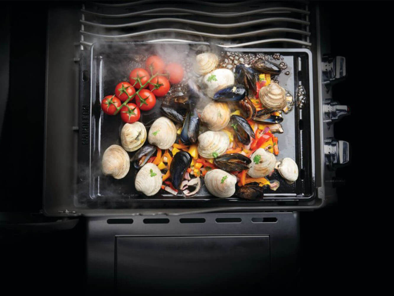 Napoleon Plancha em Ferro Fundido Esmaltado em Porcelana Napoleon Plancha em Ferro Fundido Esmaltado em Porcelana