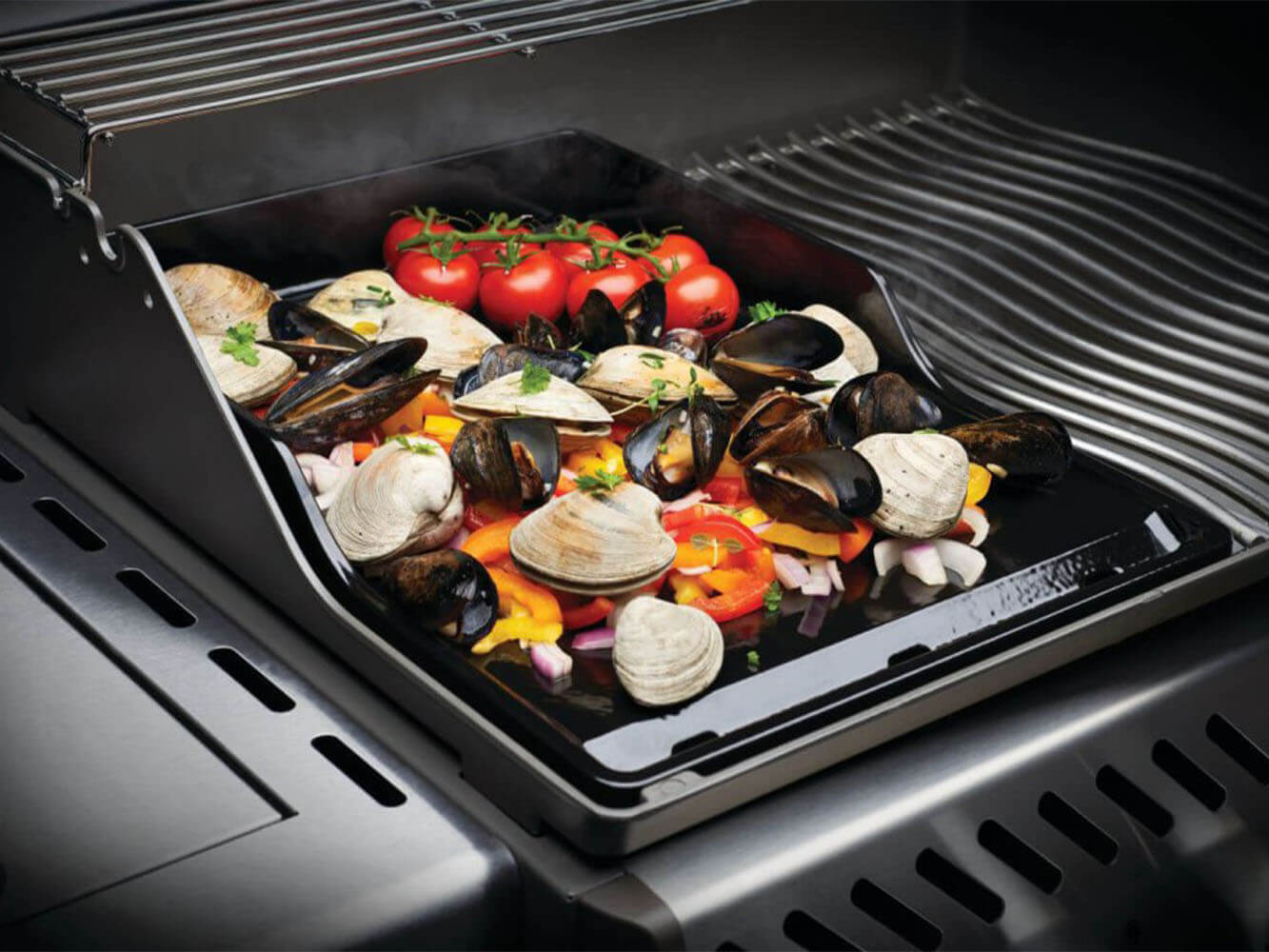 Napoleon Plancha em Ferro Fundido Esmaltado em Porcelana Napoleon Plancha em Ferro Fundido Esmaltado em Porcelana