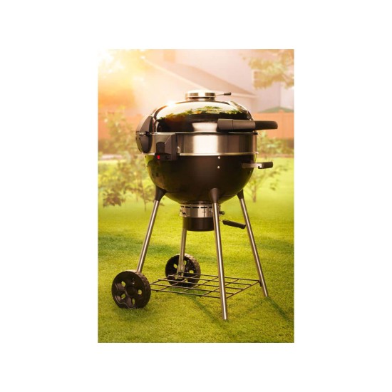 Napoleon Professional 22 Charcoal Kettle