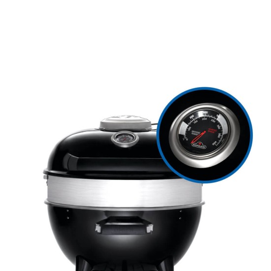 Napoleon Professional 22 Charcoal Kettle