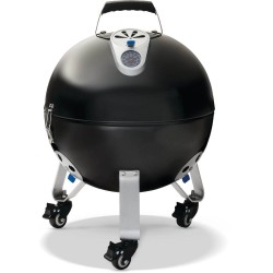 Fumador Napoleon Apollo 22