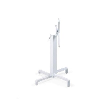 Base Ibisco Base Ibisco