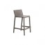 Tortora 