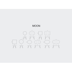 Mesa Moon