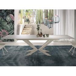 Mesa Motion