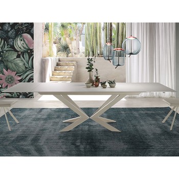 Mesa Motion Mesa Motion