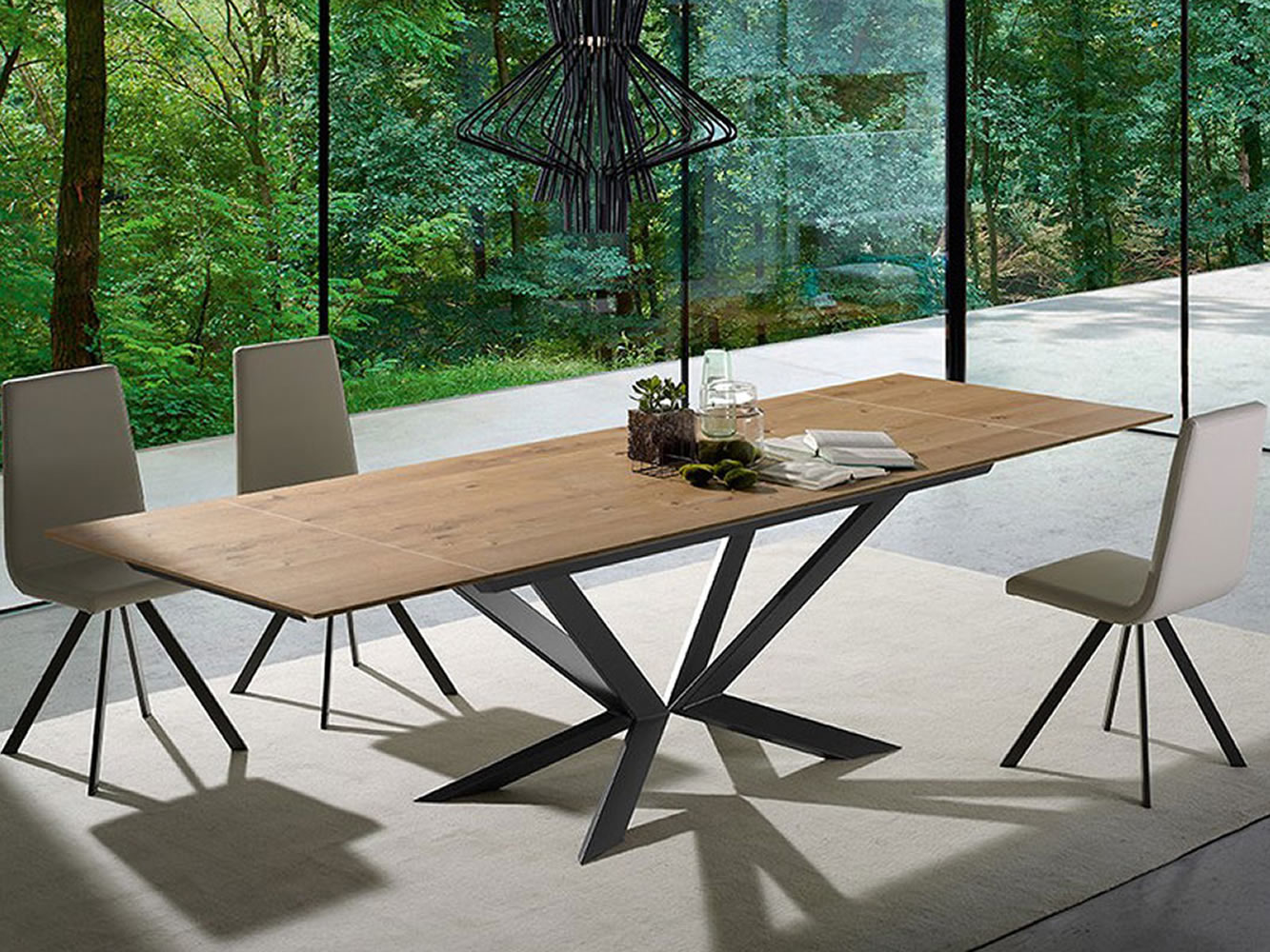 Mesa Motion Mesa Motion