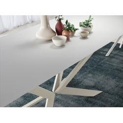 Mesa Motion