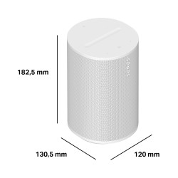 Sonos Era 100