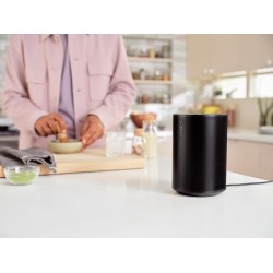 Sonos Era 100
