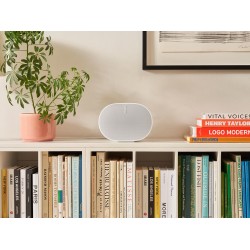 Sonos Era 300