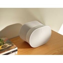 Sonos Era 300